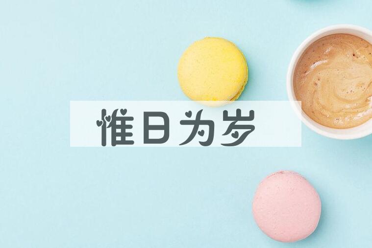 成语惟日为岁是什么意思？