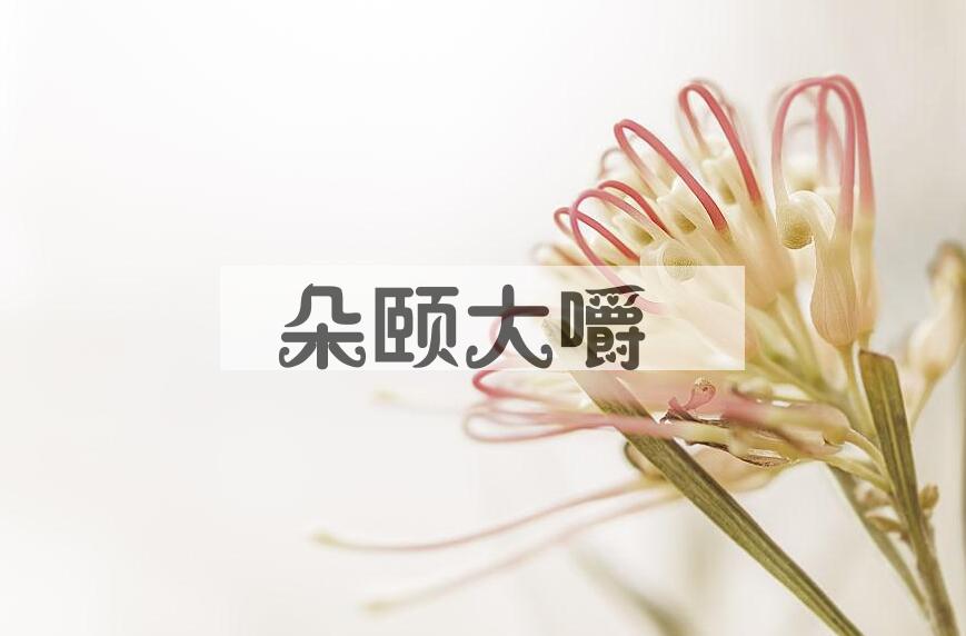 成语朵颐大嚼是什么意思？