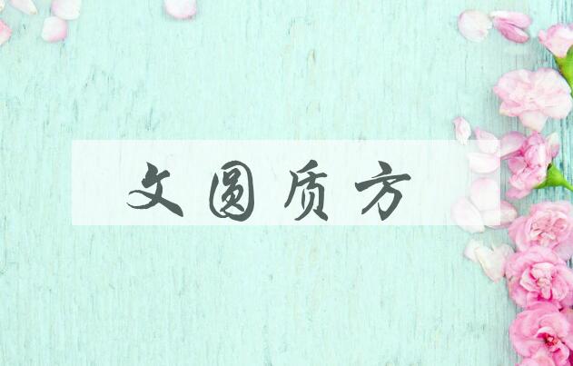 成语文圆质方是什么意思？