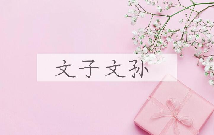 成语文子文孙是什么意思？