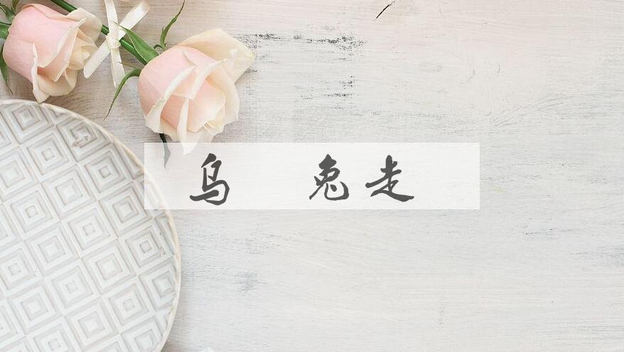 成语乌踷兔走是什么意思？