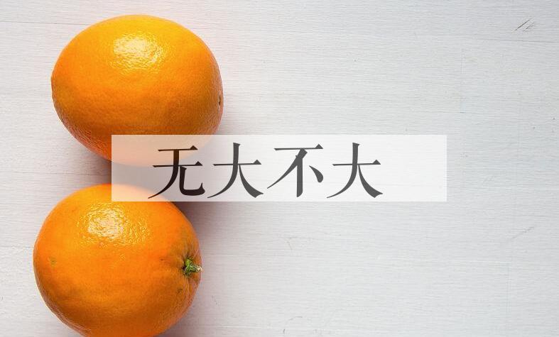 成语无大不大是什么意思？
