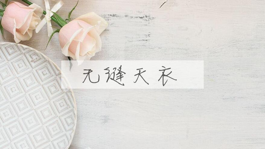 成语无缝天衣是什么意思？
