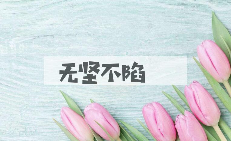 成语无坚不陷是什么意思？