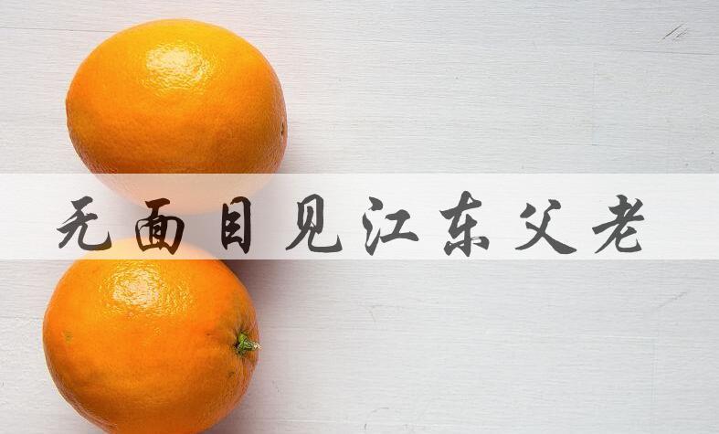 成语无面目见江东父老是什么意思？
