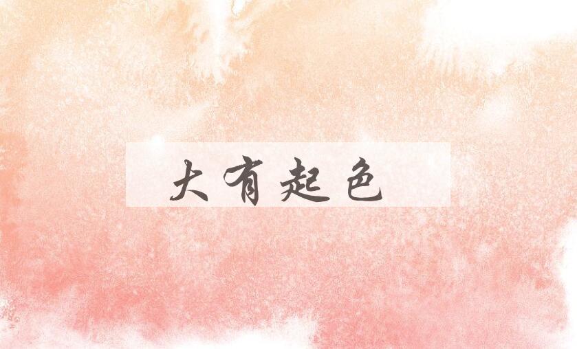 成语大有起色是什么意思？