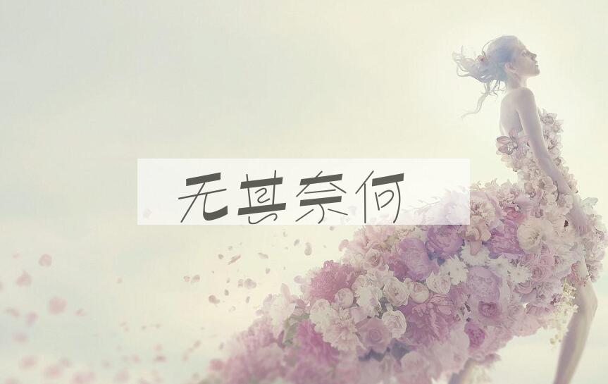 成语无其奈何是什么意思？