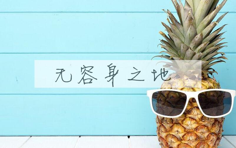 成语无容身之地是什么意思？