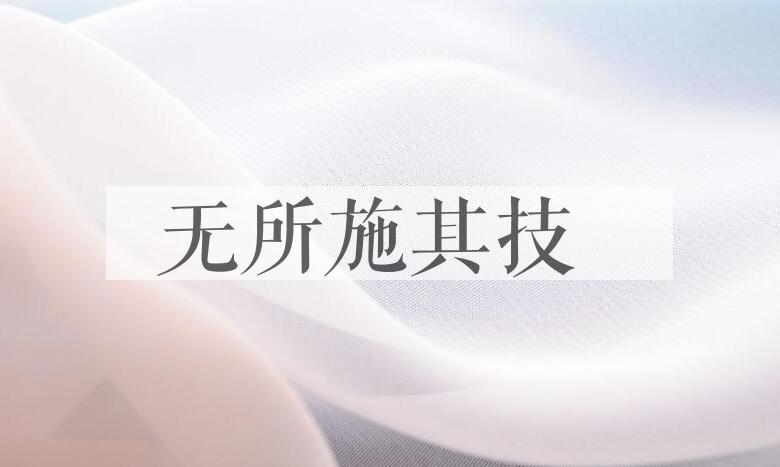 成语无所施其技是什么意思？