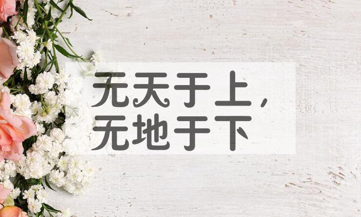 成语无天于上，无地于下是什么意思？