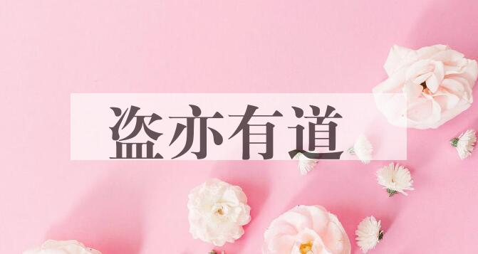 成语盗亦有道是什么意思？