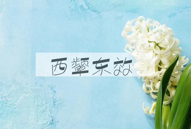 成语西颦东效是什么意思？