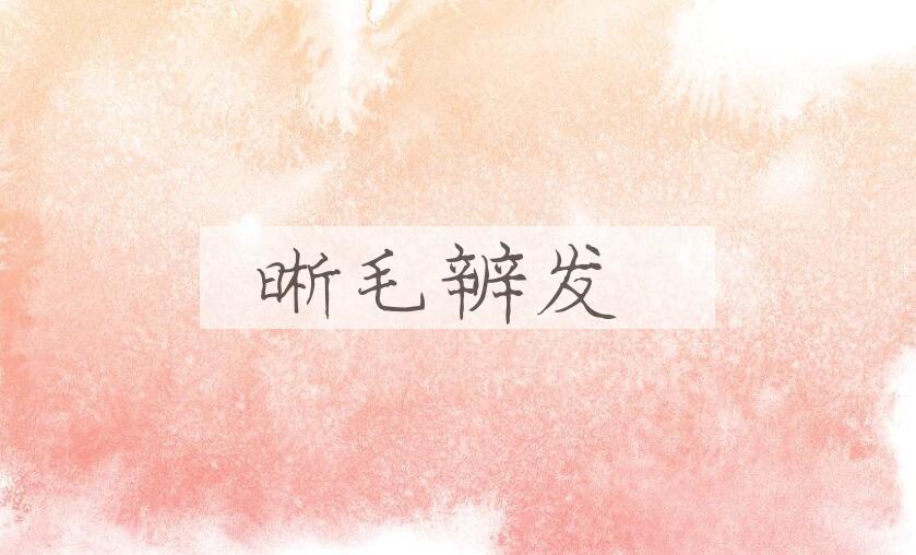 成语晰毛辨发是什么意思？