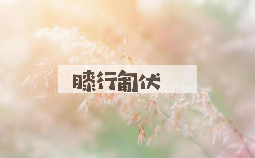 成语膝行匍伏是什么意思？