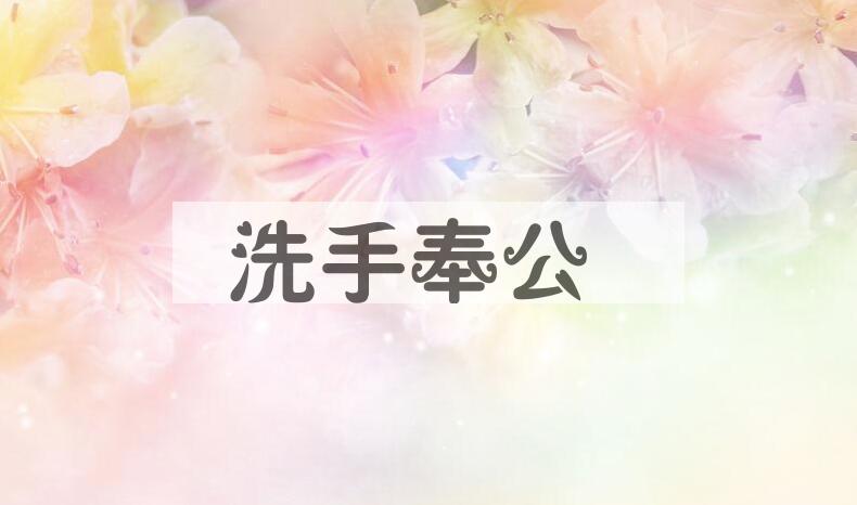 成语洗手奉公是什么意思？