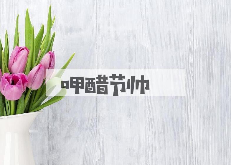 成语呷醋节帅是什么意思？