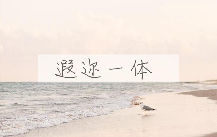 成语遐迩一体是什么意思？