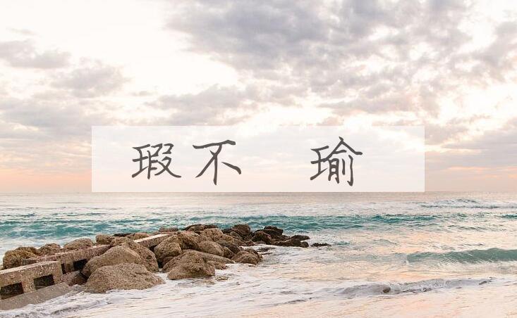 成语瑕不搑瑜是什么意思？