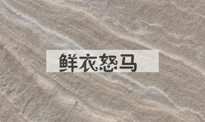 成语鲜衣怒马是什么意思？