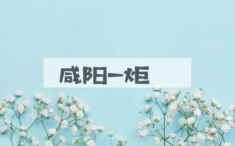 成语咸阳一炬是什么意思？