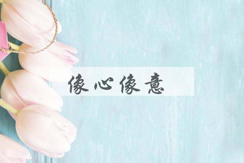 成语像心像意是什么意思？