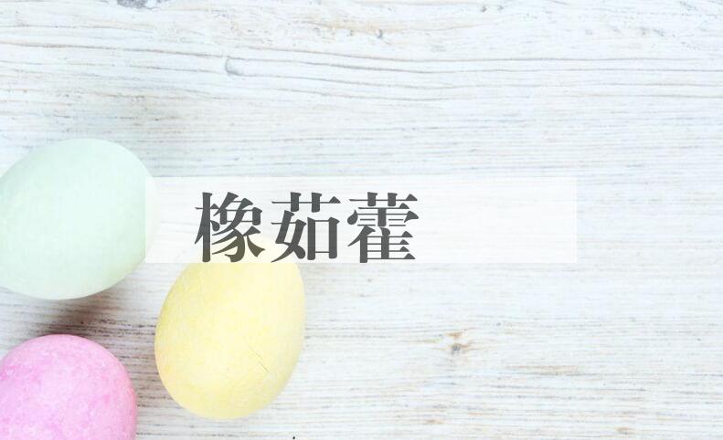 成语橡茹藿歠是什么意思？
