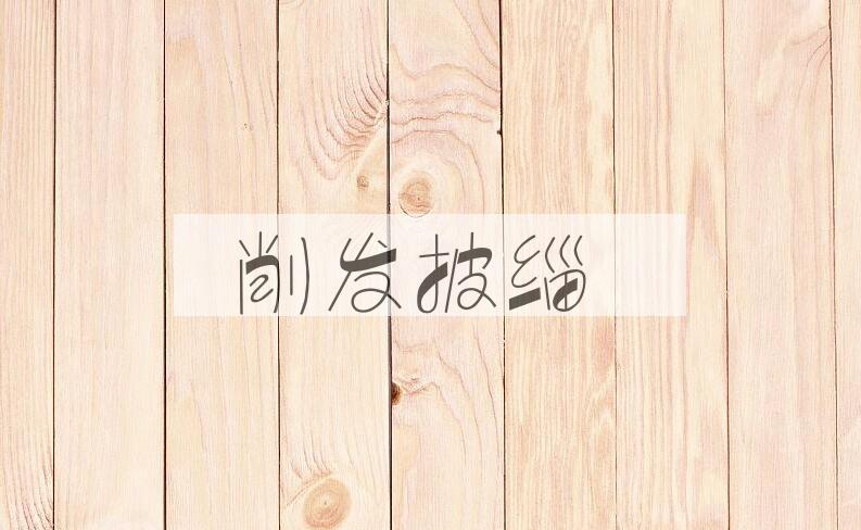 成语削发披缁是什么意思？
