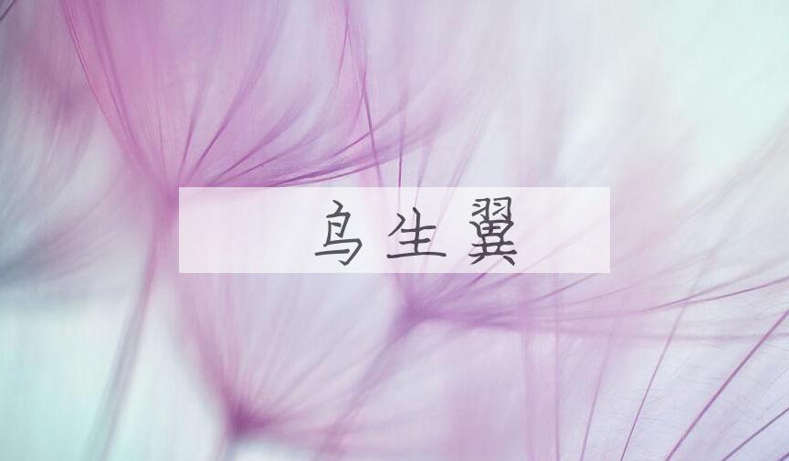 成语鸮鸟生翼是什么意思？