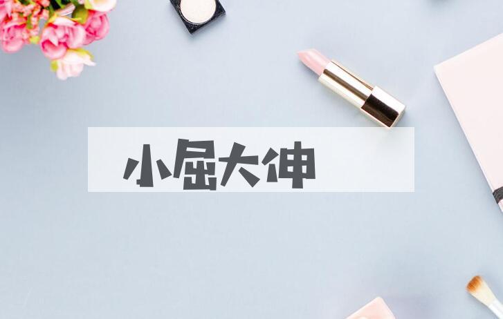 成语小屈大伸是什么意思？