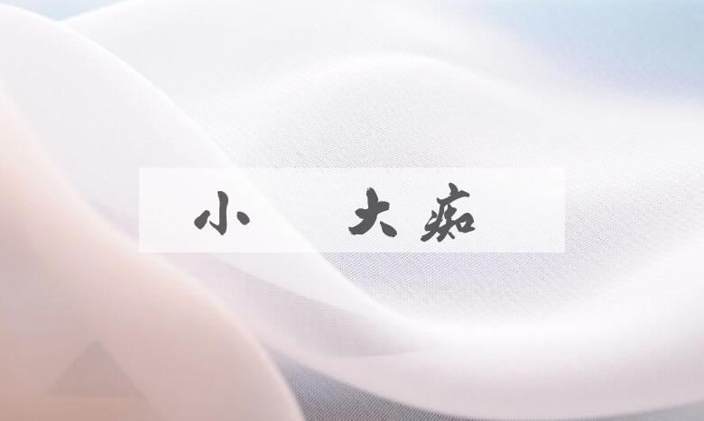 成语小黠大痴是什么意思？