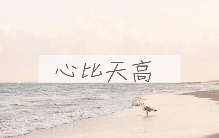成语心比天高是什么意思？