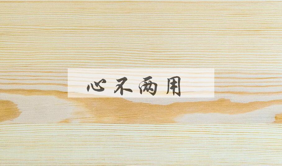 成语心不两用是什么意思？