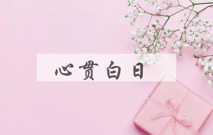 成语心贯白日是什么意思？