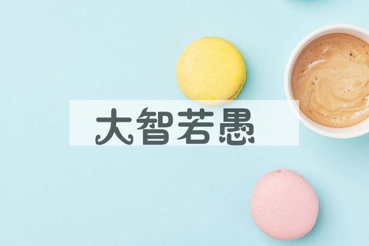 成语大智若愚是什么意思？