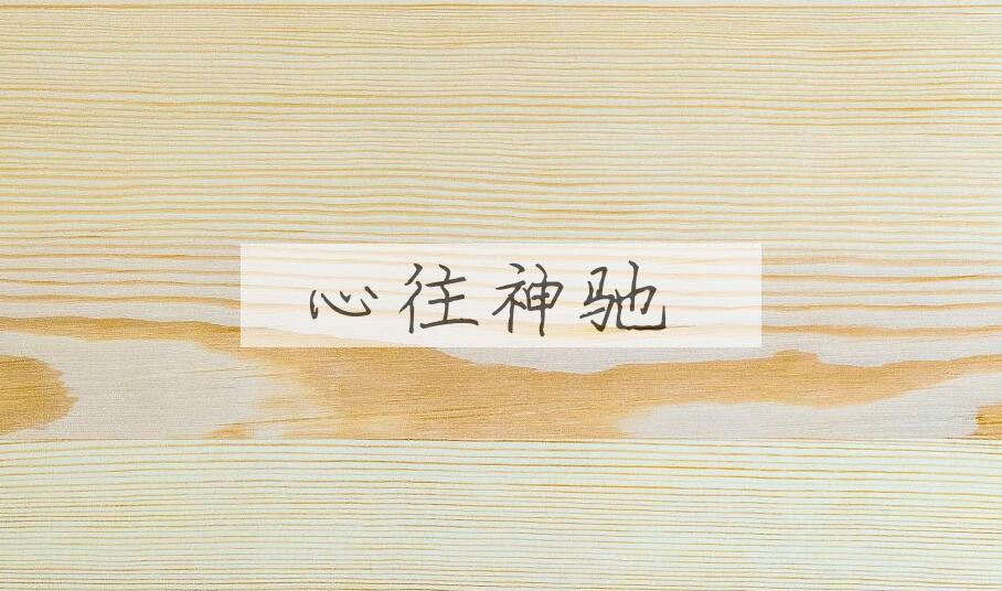 成语心往神驰是什么意思？