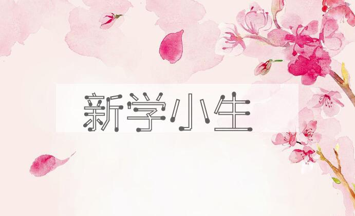 成语新学小生是什么意思？