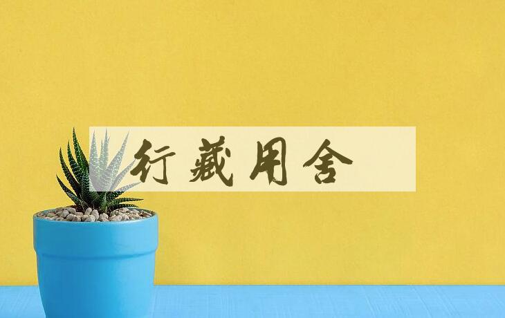 成语行藏用舍是什么意思？