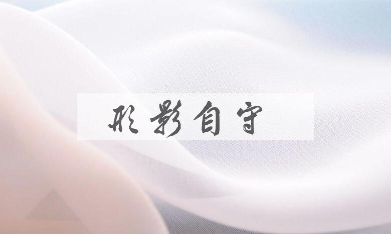 成语形影自守是什么意思？