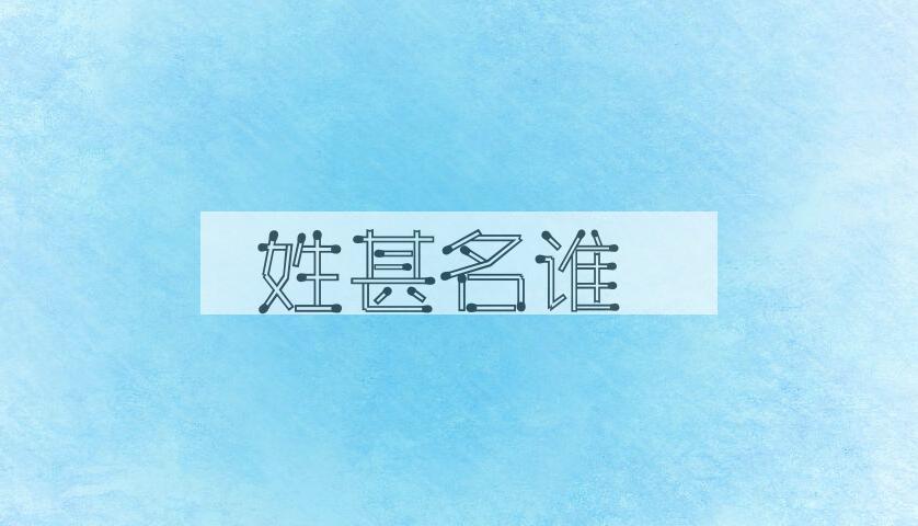 成语姓甚名谁是什么意思？