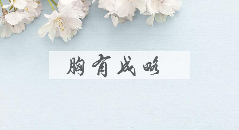 成语胸有成略是什么意思？
