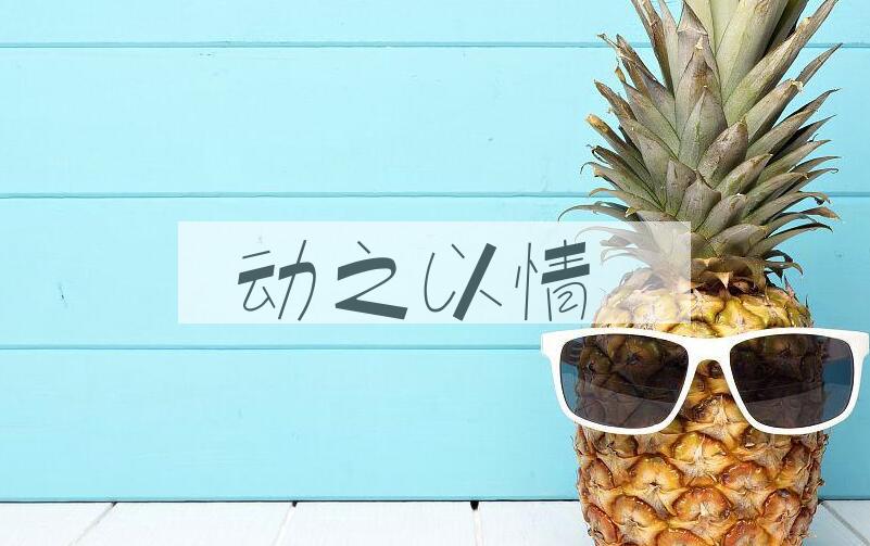 成语动之以情是什么意思？