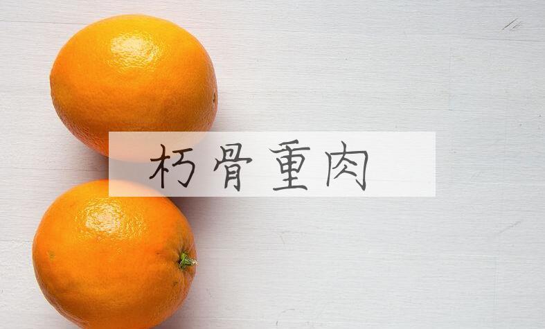 成语朽骨重肉是什么意思？