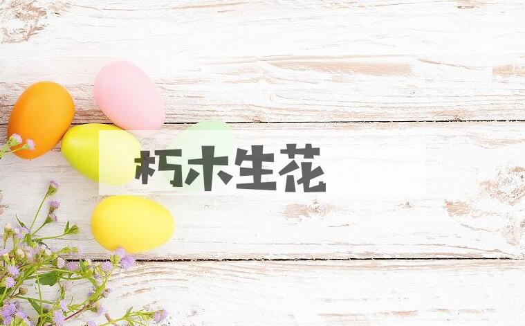 成语朽木生花是什么意思？