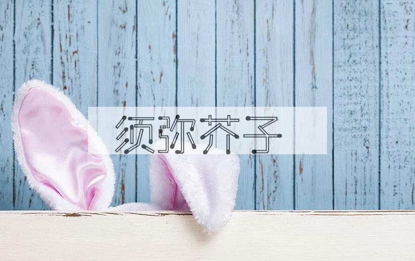 成语须弥芥子是什么意思？