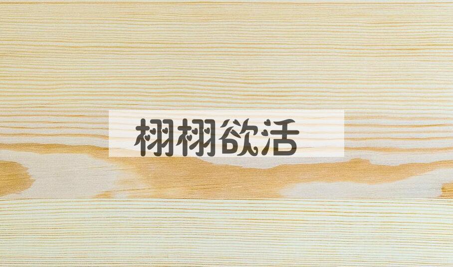 成语栩栩欲活是什么意思？