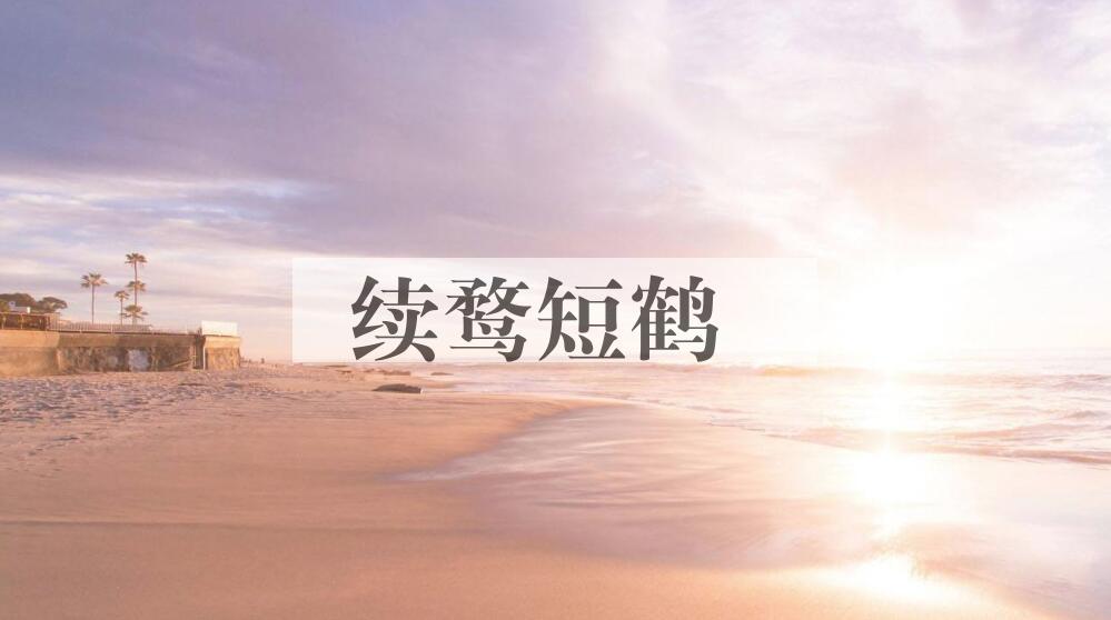 成语续鹜短鹤是什么意思？
