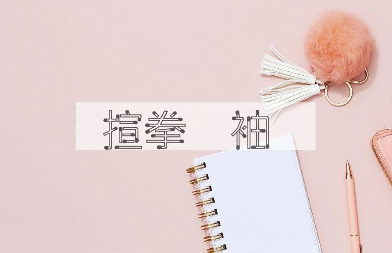 成语揎拳捰袖是什么意思？