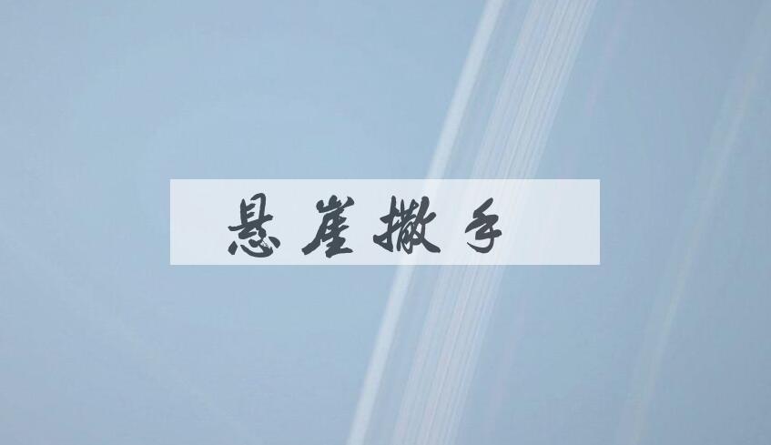 成语悬崖撒手是什么意思？