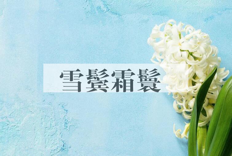 成语雪鬓霜鬟是什么意思？