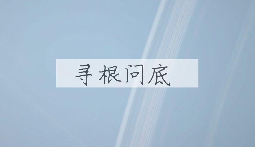 成语寻根问底是什么意思？